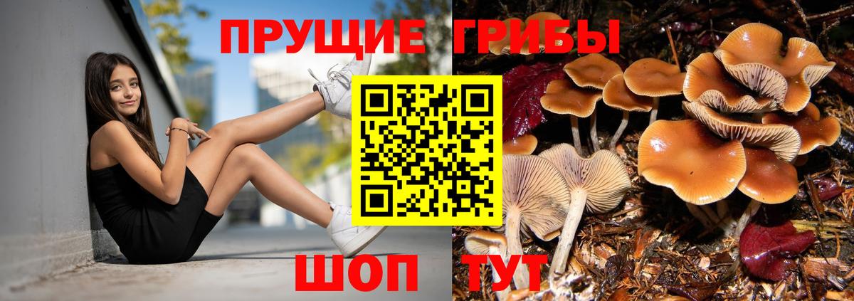 купить  сайты  Псилоцибиновые грибы прущие грибы  Анжеро-Судженск  Вход с VPN  Галлюциногенные грибы прущие грибы 